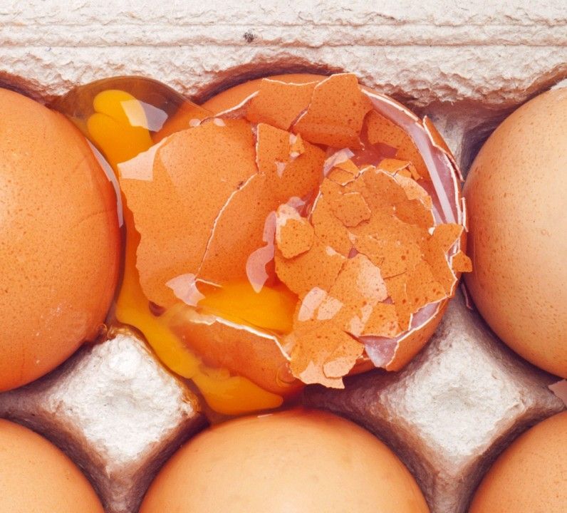 Et smadret æg i en pakke med æg